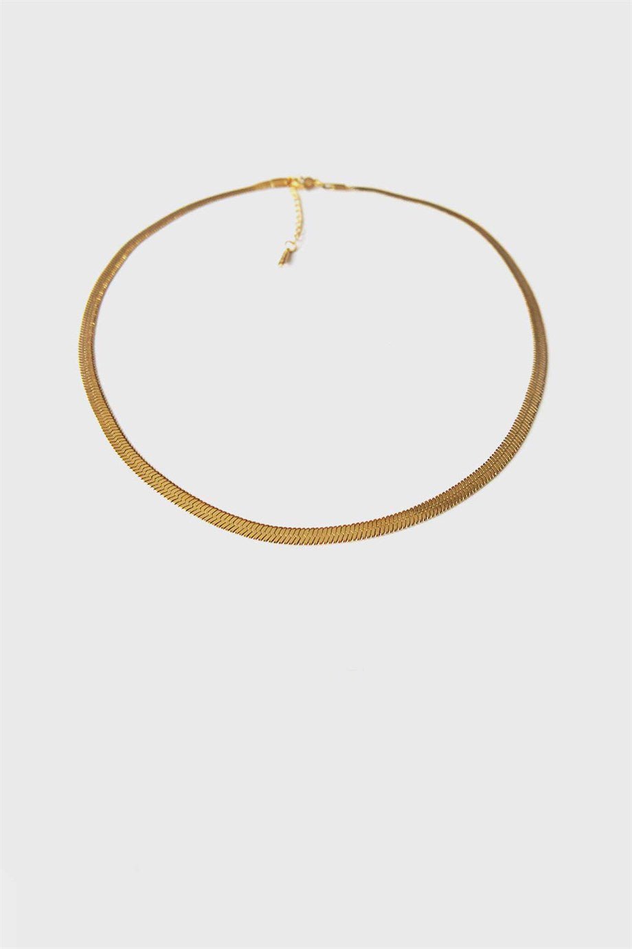 Flat Snake Chain Necklace Gold, Stainless steel - necklace - Feraye