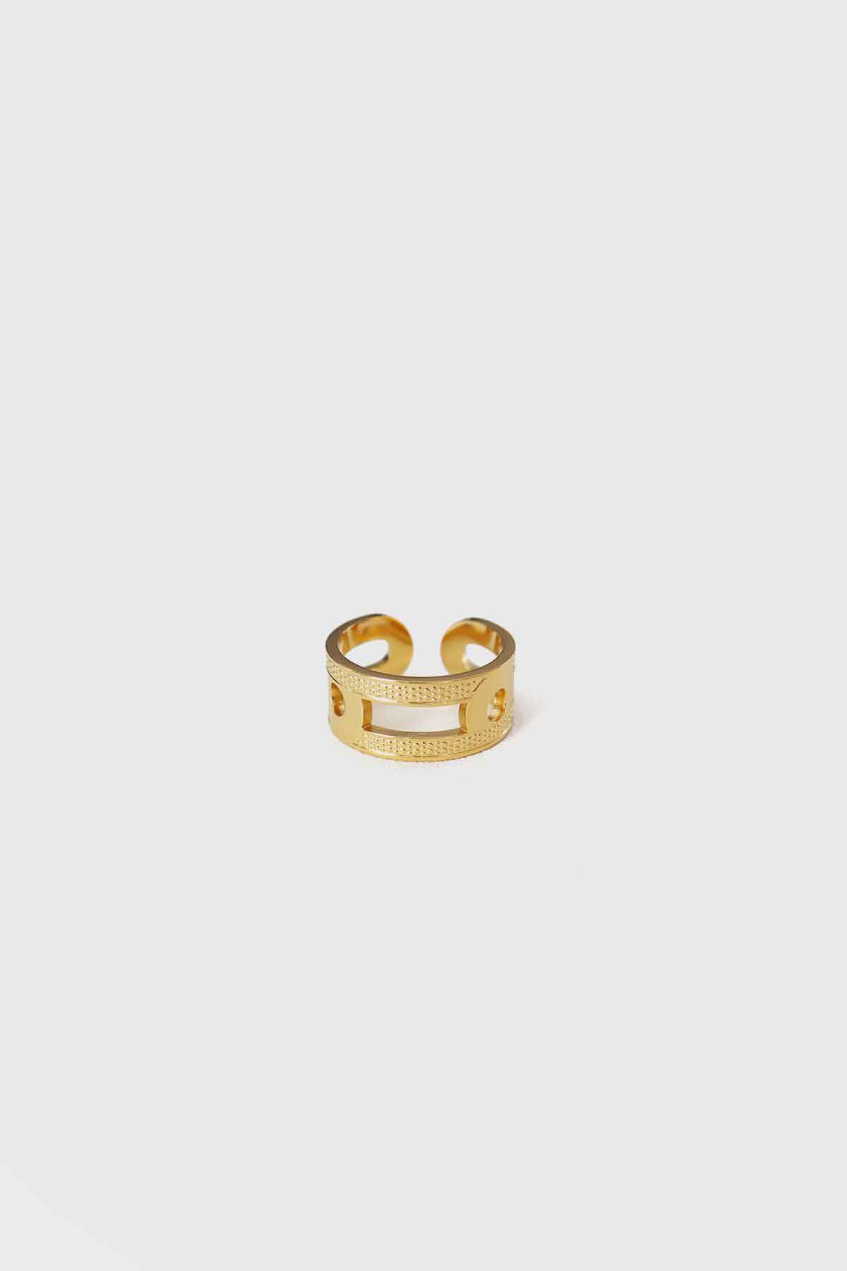 The Noble Piece of Azi Ring Gold, Stainless steel - Feraye